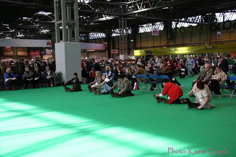 Crufts2011_2 635.jpg